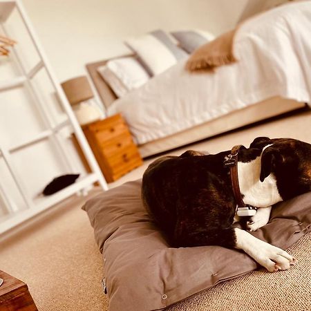 The Ventnor Annex Bed & Breakfast Bagian luar foto